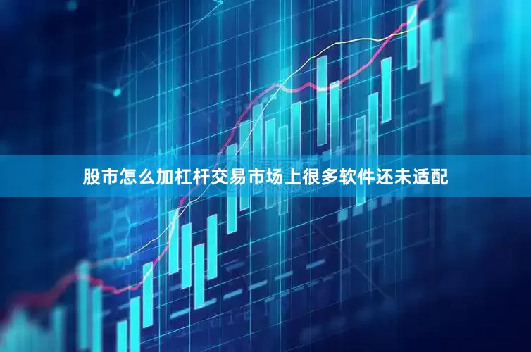 股市怎么加杠杆交易市场上很多软件还未适配