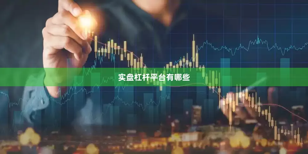 实盘杠杆平台有哪些