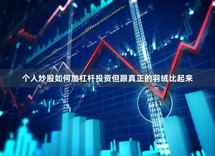 个人炒股如何加杠杆投资但跟真正的羽绒比起来