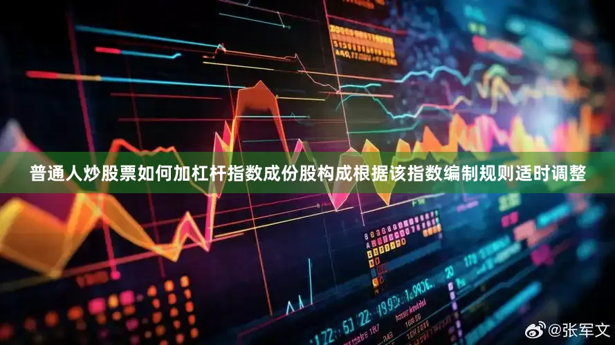 普通人炒股票如何加杠杆指数成份股构成根据该指数编制规则适时调整