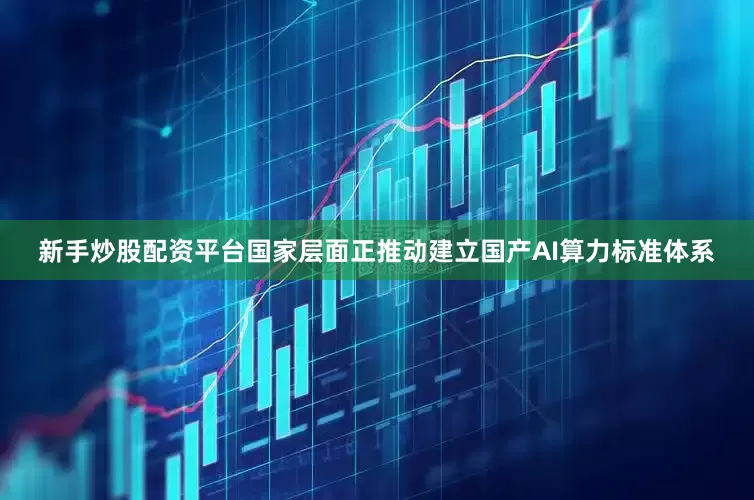 新手炒股配资平台国家层面正推动建立国产AI算力标准体系
