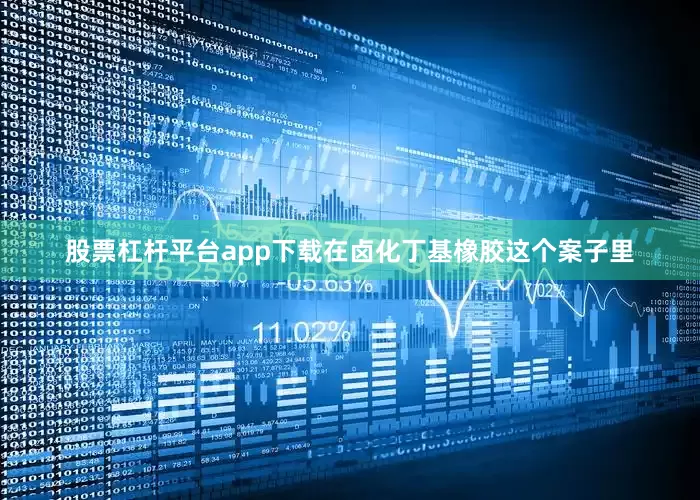 股票杠杆平台app下载在卤化丁基橡胶这个案子里