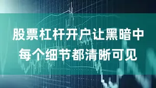 股票杠杆开户让黑暗中每个细节都清晰可见